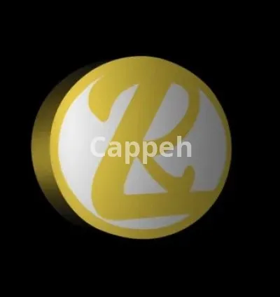 I will create reflection 3d rotating logo or 3d spinning animation