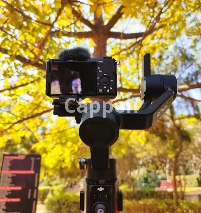 I will be your videographer in new york city