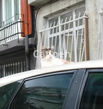 I will take videos and photos in istanbul