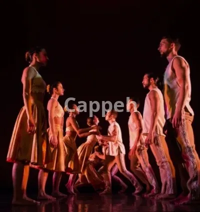 I will film your event, concert or performance