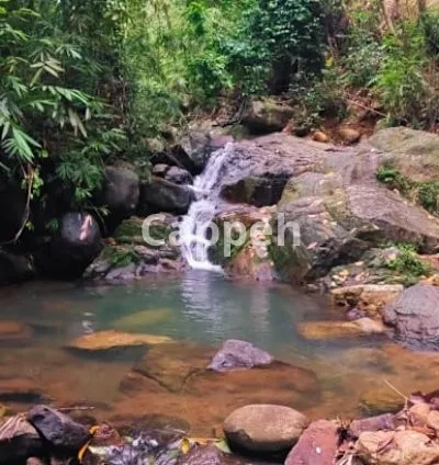 I will film exclusive original real nature 4k videos for youtube