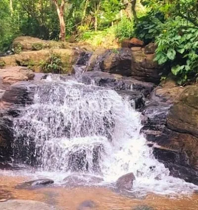 I will film exclusive original real nature 4k videos for youtube