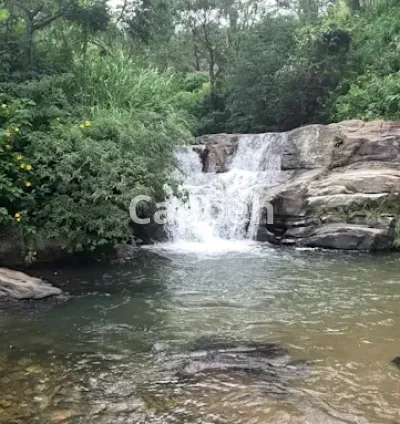 I will film exclusive original real nature 4k videos for youtube