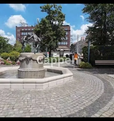 I will record a walking video of a city