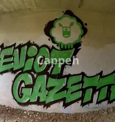 I will make a real graffiti video with your logo or image