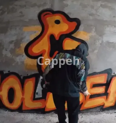 I will make a real graffiti video with your logo or image