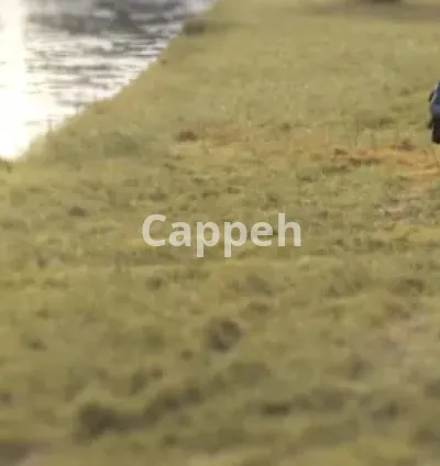 I will become your videographer and editor in pakistan