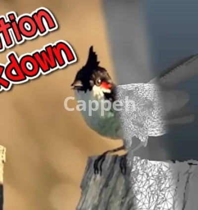 I will stunning vfx animation to bring your ideas to life