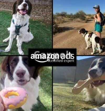 I will create dog product photos and ugc video ads