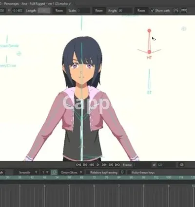 I will do character rigg for 2d animation, kids animation, in moho