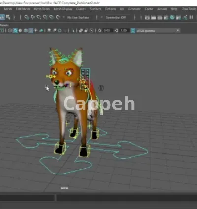 I will rigg all kinds of maya characters and model