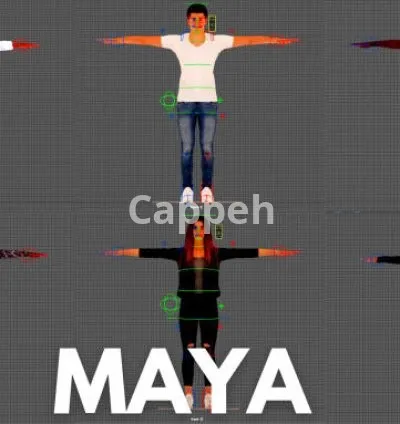 I will do professional 3d rigging in blender and maya