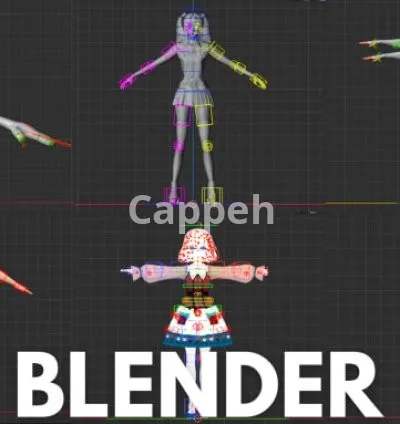 I will do professional 3d rigging in blender and maya