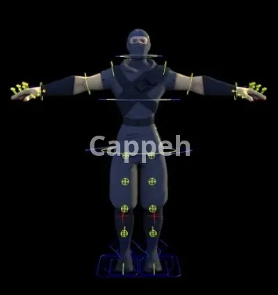 I will rig your 3d model in 3ds max, maya and blender