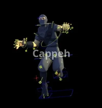 I will rig your 3d model in 3ds max, maya and blender