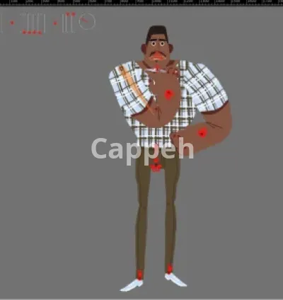 I will do 2d character rigging in adobe after effects