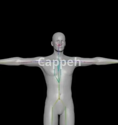 I will do rigging for maya, unreal 4 5, unity, vtubing, roblox, iclone