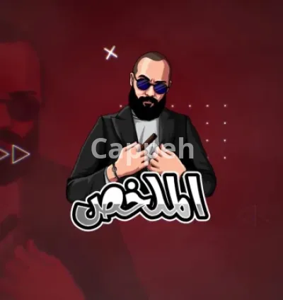 I will custom stinger transition animation for your kick, twitch or youtube channel