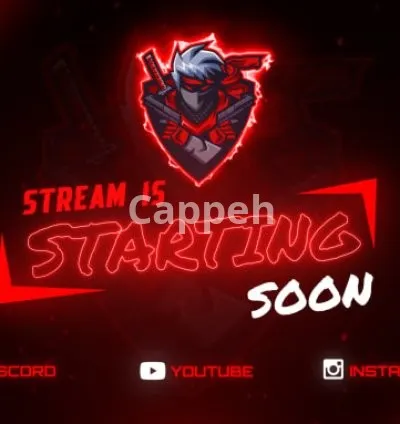 I will make unique animated starting soon, ending soon, brb screen, offline for twitch