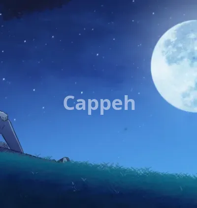 I will create lofi hiphop animation or gif animation