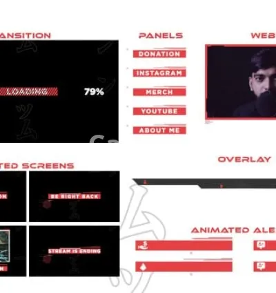 I will design the best animated stream package for you