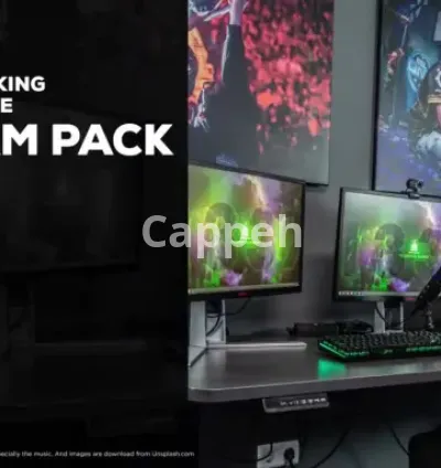 I will design the best animated stream package for you