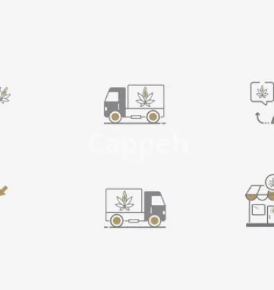 I will do an animated GIF for icons and illustrations