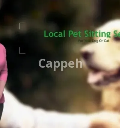 I will create a explainer video with perfect avatar spokesperson