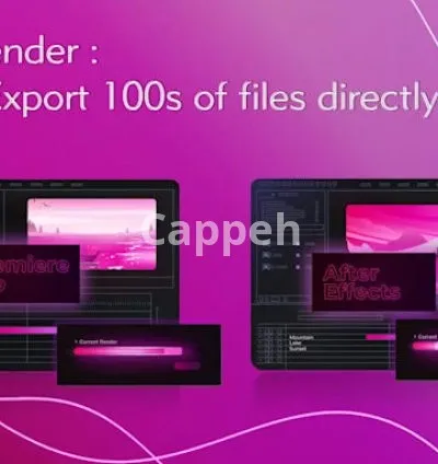 I will create 2d app explainer videos fully customized 2d app and web explainer video