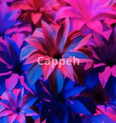 I will do professional 3d product animation