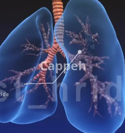 I will do 2d and 3d medical animation for you