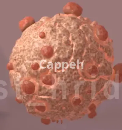 I will do 2d and 3d medical animation for you