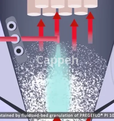 I will create elearning videos of great quality best price