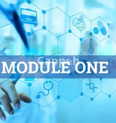 I will create a professional ia spokesperson video to enhance your course content, PPT