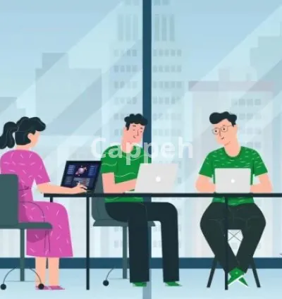 I will make a stunning 2d animation explainer video in 24h