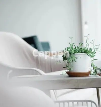 I will provide consulting and input on your post production