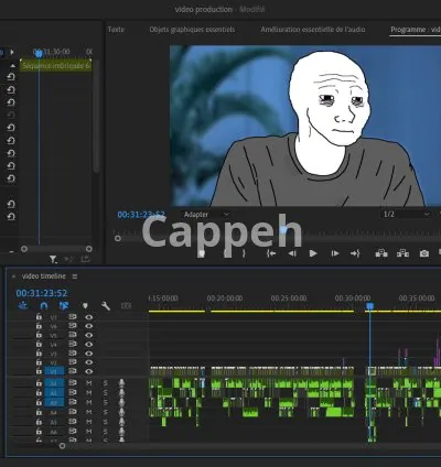 I will teach you how to make wojak videos