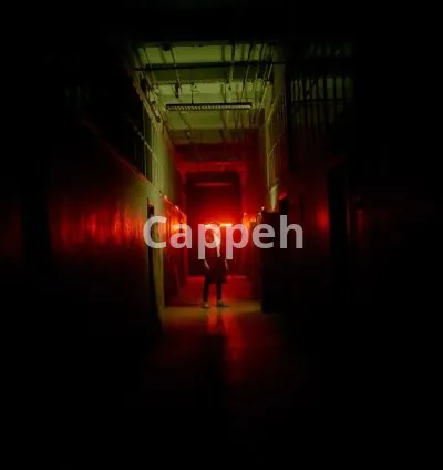 I will consult on content creation and strategy