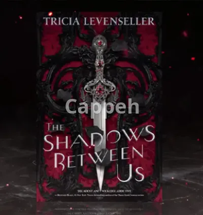 I will create a promotional tiktok book trailer for your book