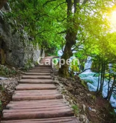 I will create 30 1 hour meditation relaxing music videos