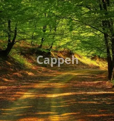 I will create 30 relaxing, meditation, sleep, yoga, chakra 4k videos for youtube