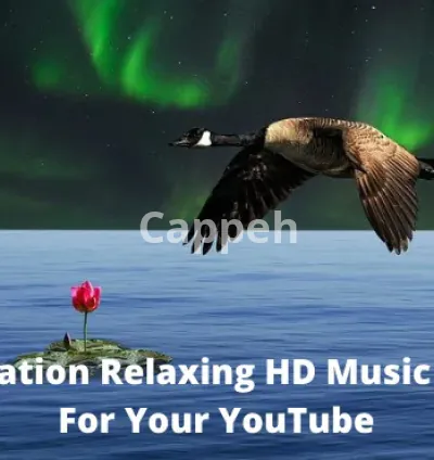 I will create HD meditation music video for your youtube