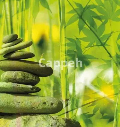 I will create 30 meditation music with solfeggio frequency, binaural beats video