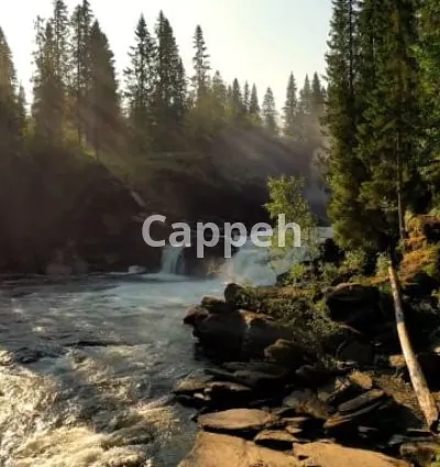 I will meditation videos for stress free living