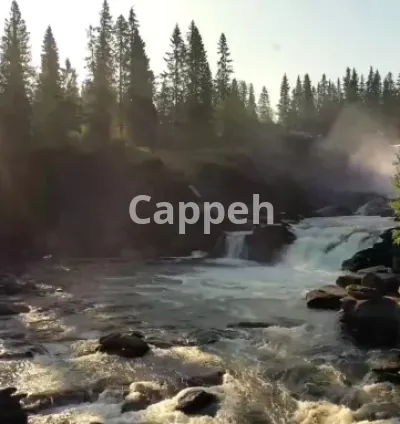 I will meditation videos for stress free living