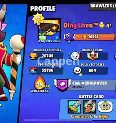 I will push trophies with you and coach you in brawl stars