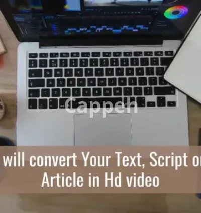 I will convert article to video in 24 hrs