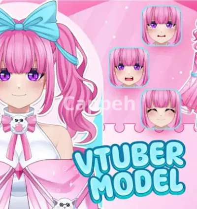 I will design and rigging live2d model art character for vtuber
