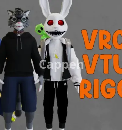I will rig 3d character, model, vrchat avatar and 3d vtuber avatar
