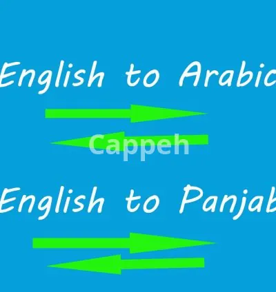 I will professionally translate in spanish, english, french, german